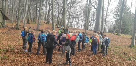 IMG-dfe2329c64c432ca4e87db173d138049-V