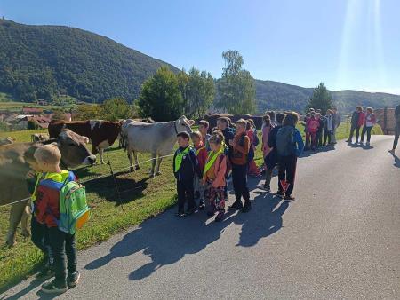 4864154456751664167413075