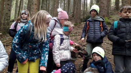 viber_image_2023-04-18_22-06-12-933