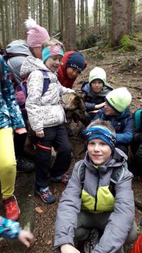 viber_image_2023-04-18_22-06-13-226