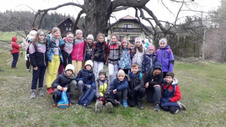 viber_image_2023-04-18_22-06-13-735