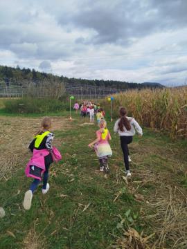 viber_image_2024-09-26_13-07-52-075