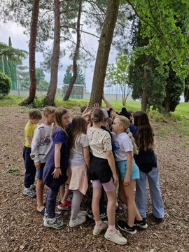 viber_image_2025-05-21_21-52-06-138