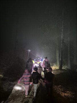 IMG-10ca84fc99a181fdee1539e4b3644daf-V