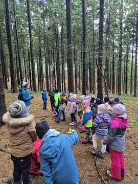 IMG-bb0194dbab8cf2a3acb818ee86760e51-V