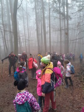 viber_image_2026-01-17_13-39-59-184