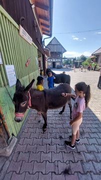 IMG_7692